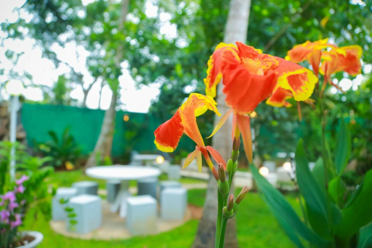 Hotel Moonstone Anuradhapura Exterior foto